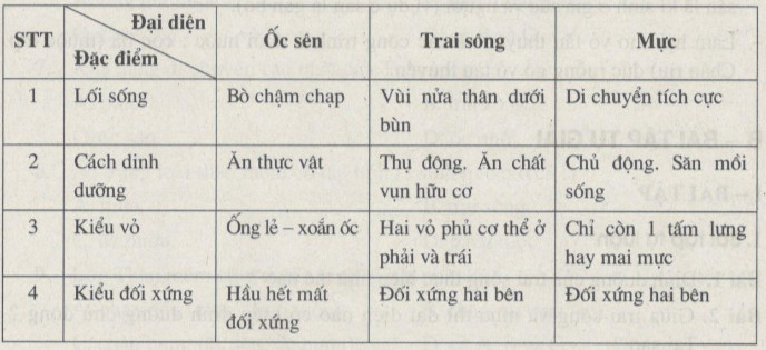 Káº¿t quáº£ hình áº£nh cho báº£ng so sánh sá»± khác nhau 3 Ä‘áº¡i diá»‡n chÃ­nh cá»§a ngÃ nh Thân má»m