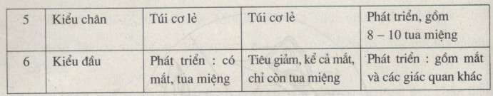 Káº¿t quáº£ hình áº£nh cho báº£ng so sánh sá»± khác nhau 3 Ä‘áº¡i diá»‡n chÃ­nh cá»§a ngÃ nh Thân má»m