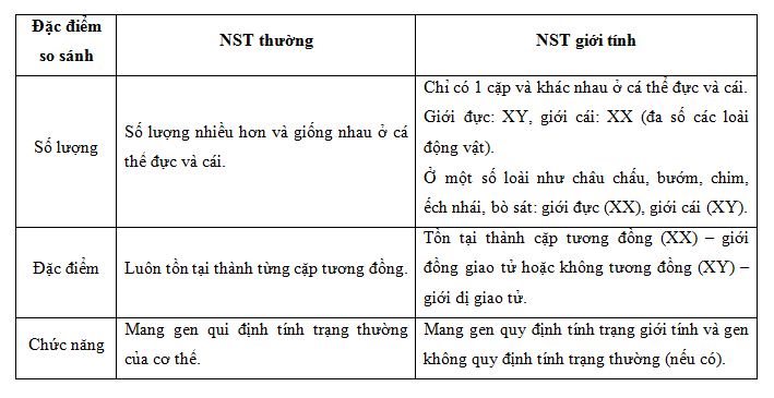 so sánh NST thường và NST giới tính