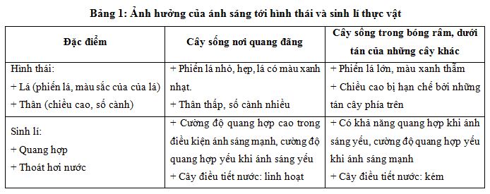 ảnh hướng của ánh sáng lên thực vật