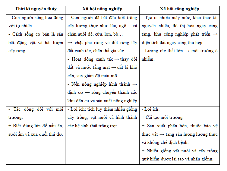 tác động của con người tới môi trường