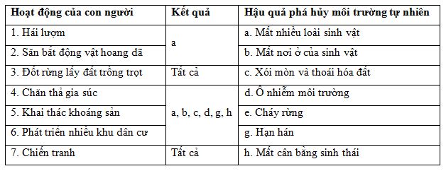 tác động của con người làm suy thoái môi trường