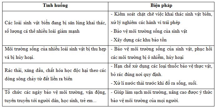 bảo vệ hệ sinh thái biển