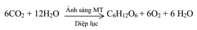 phương trình tổng quát quang hợp