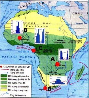 Giải địa lí 7 bài 28: Thực hành phân tích lược đồ phân bố các môi trường tự nhiên, biểu đồ nhiệt độ và lượng mưa ở châu Phi