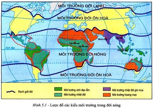 Giải địa lí 7 bài 6: Môi trường nhiệt đới