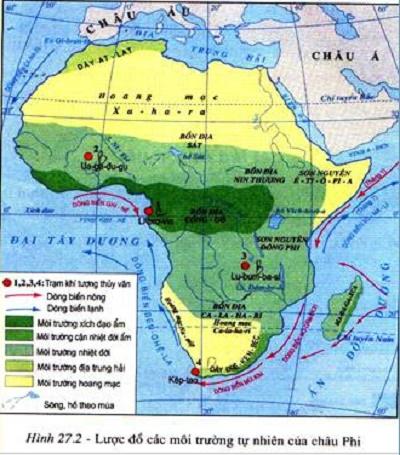 Giải địa lí 7 bài 28: Thực hành phân tích lược đồ phân bố các môi trường tự nhiên, biểu đồ nhiệt độ và lượng mưa ở châu Phi