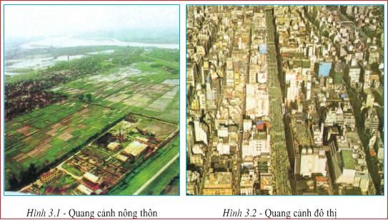 Giải địa lí 7 bài 3: Quần cư. Đô thị hóa