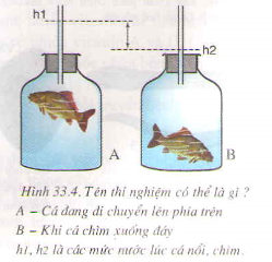 Giải sinh học 7 bài 33: Cấu tạo trong của cá chép