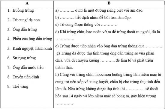 Giải sinh học 8 bài 61: Cơ quan sinh dục nữ