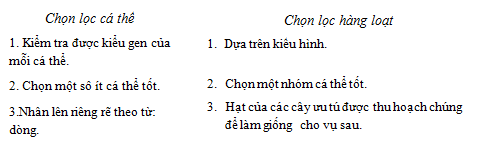 Giải sinh học 9 bài 40: Ôn tập phần Di truyền và biến dị