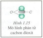 Giải hóa 8 bài 6: Đơn chất và hợp chất. Phân tử