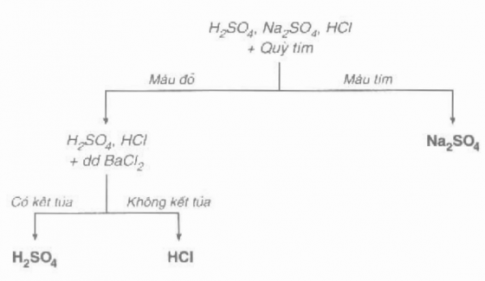 Giải hóa 9 bài 6: Thực hành: Tính chất hóa học của oxit và axit